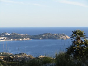 IMG_3714 (Medium)